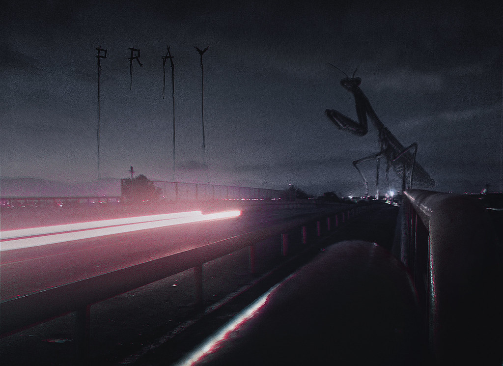 The shadow of a giant mantis crossing the road
