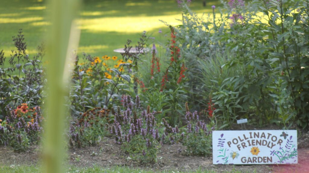 a sign that is in the grass near flowers