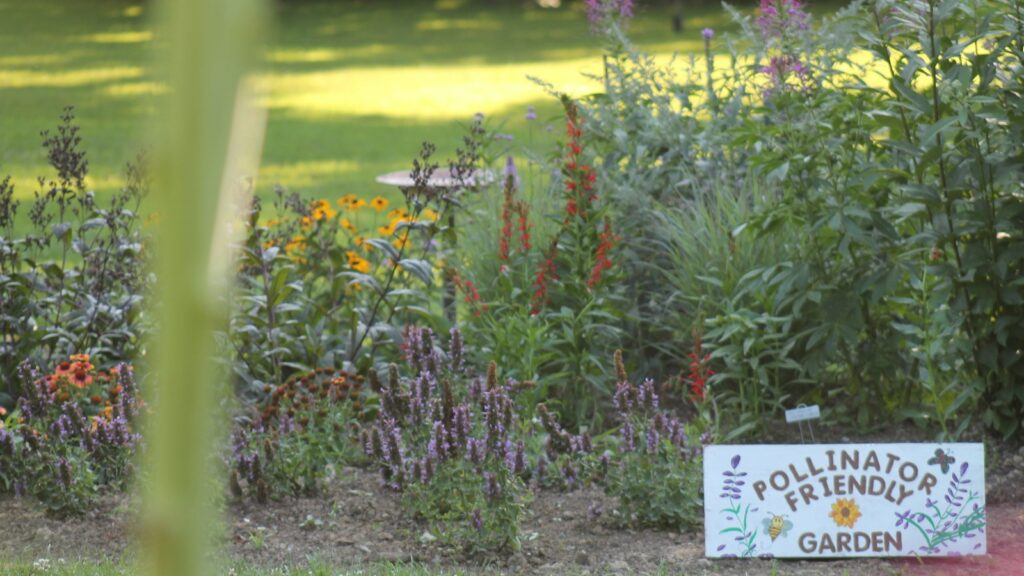 a sign that is in the grass near flowers