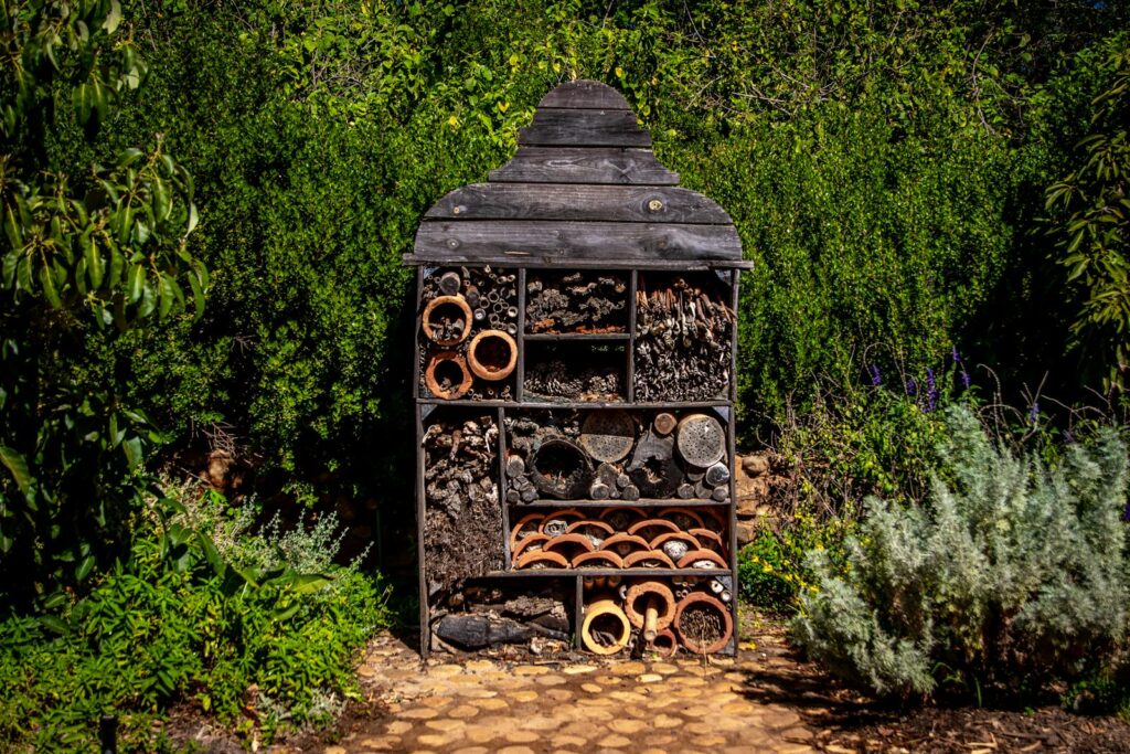 Wooden insect hotel surrounded by green plants in vibrant garden atmosphere, showcasing biodiversity.