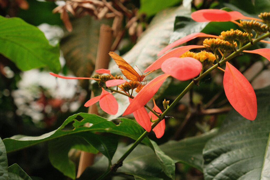 Close-up of ornamental plants with hidden insect pests