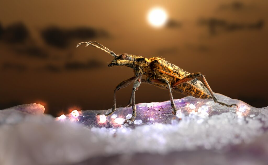 Nighttime forest scene with various insects interacting with plants and predators