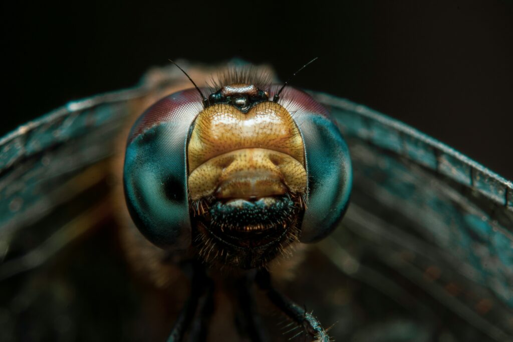A pixelated human scene as it might appear to an insect