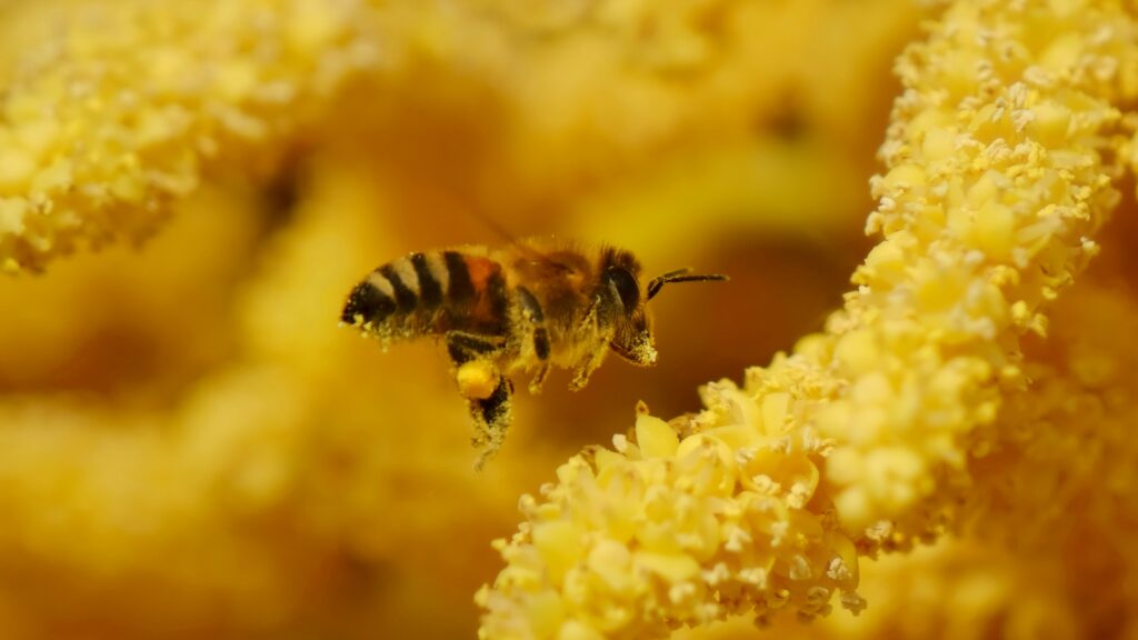 Barry B. Benson character flying near flowers with unrealistic facial expression