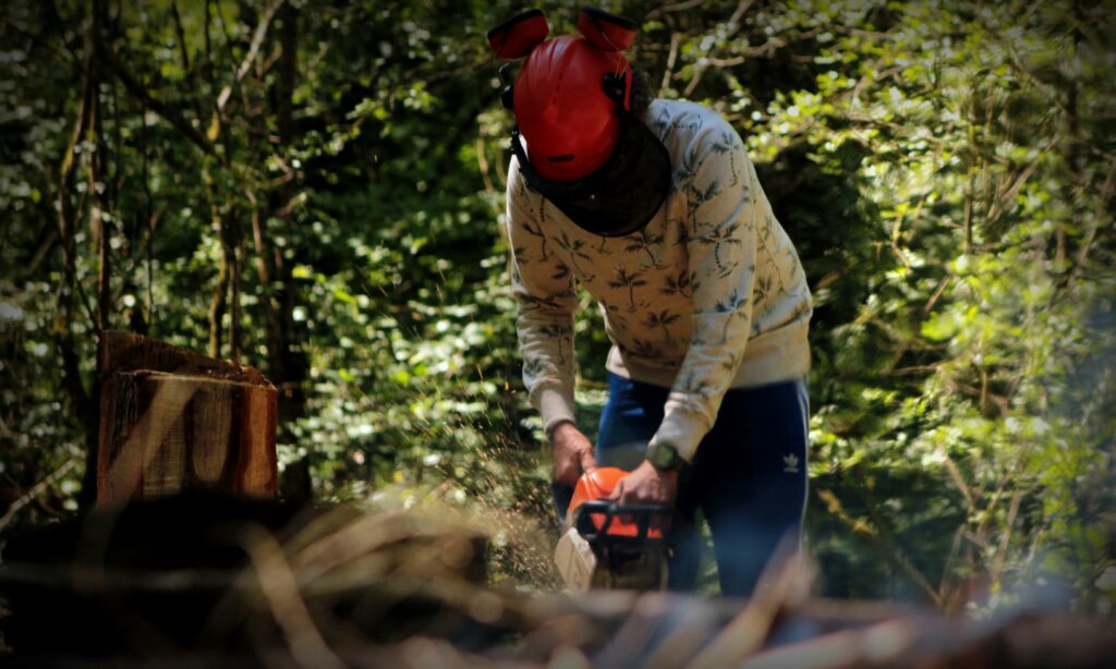 Forest worker applying biological pesticide or pheromone traps in a wooded area

