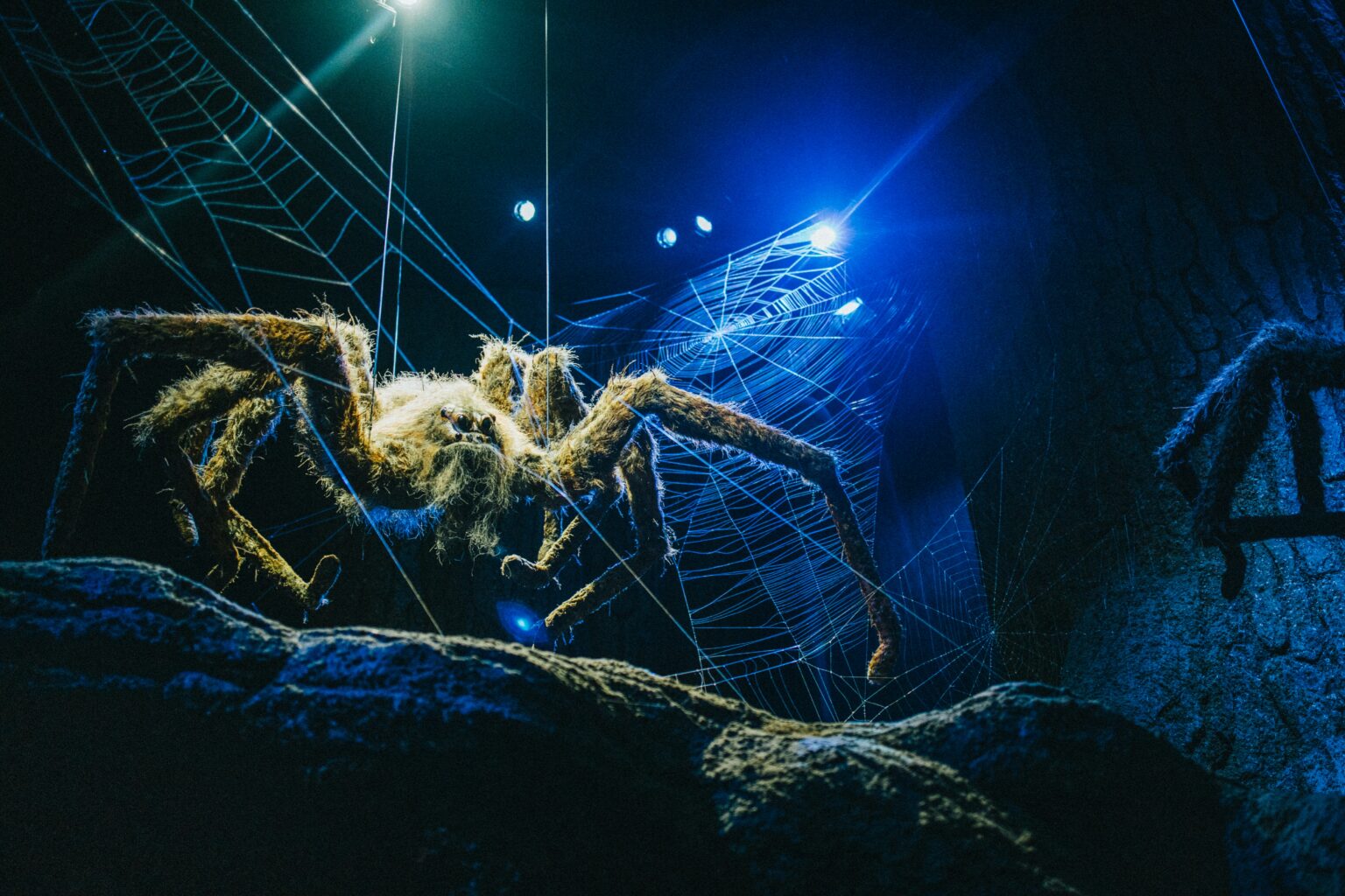 The Real Insects That Inspired Alien Starship Troopers and Other Sci Fi ...