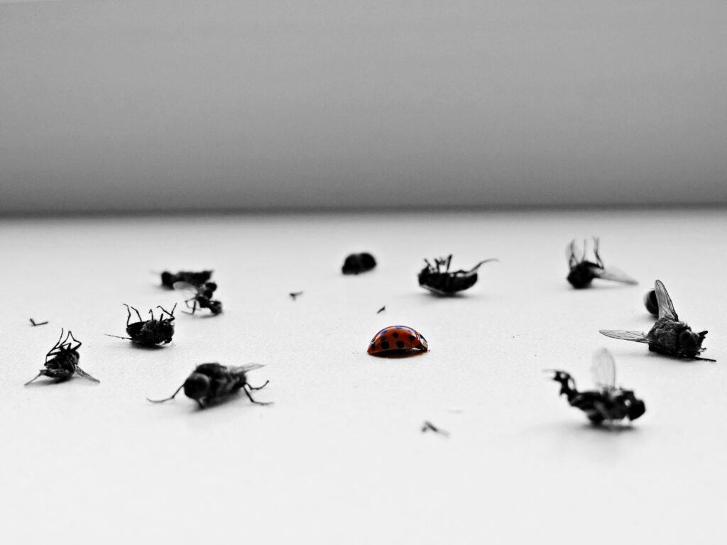  Farmer or scientist applying controlled triggers to manage insect pest growth