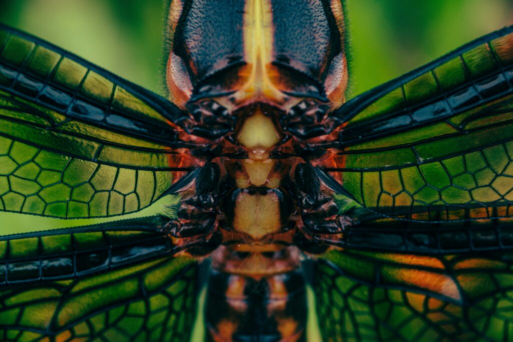Composite image of insects with glowing circuitry wings flying toward a futuristic city skyline