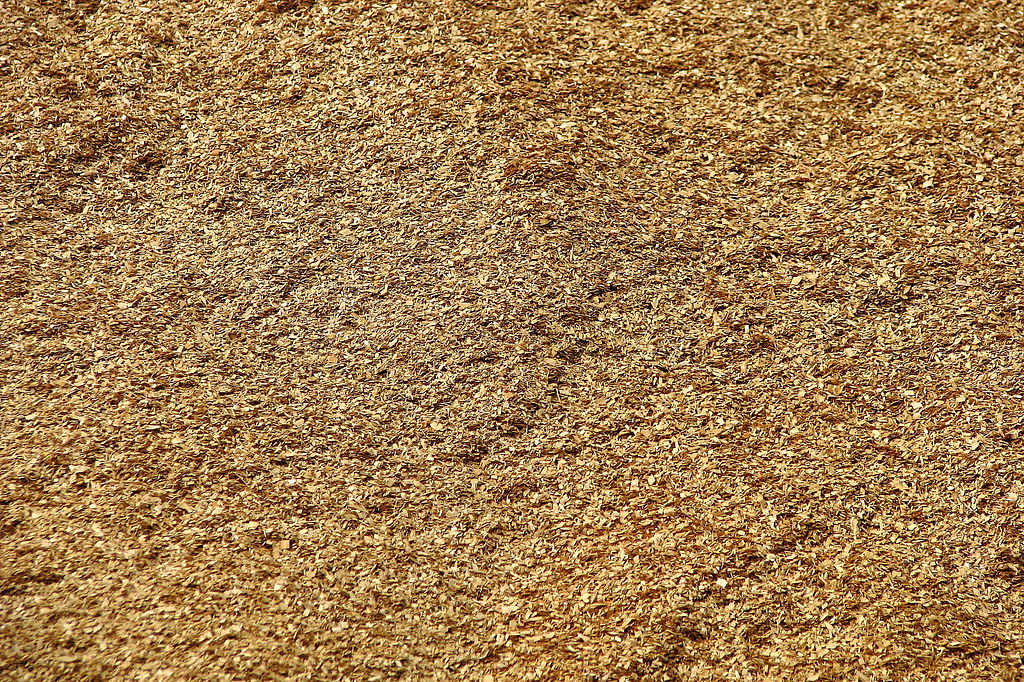 Brown wood shavings