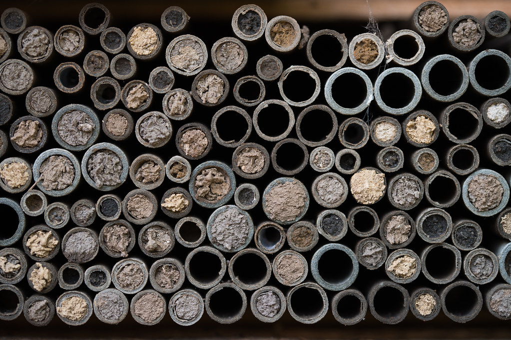 Reed tubes with various diameter populated by insect families.
