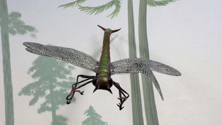 The First Insects on Earth: How They Took Over the Planet – Insect Hive