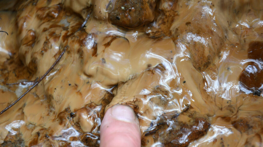 Slimy water layer in an aquarium