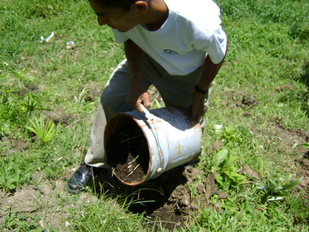 Putting organic fertilizer in a farm