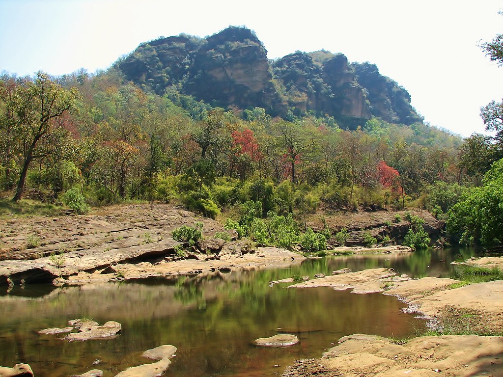Habitat fragmentation