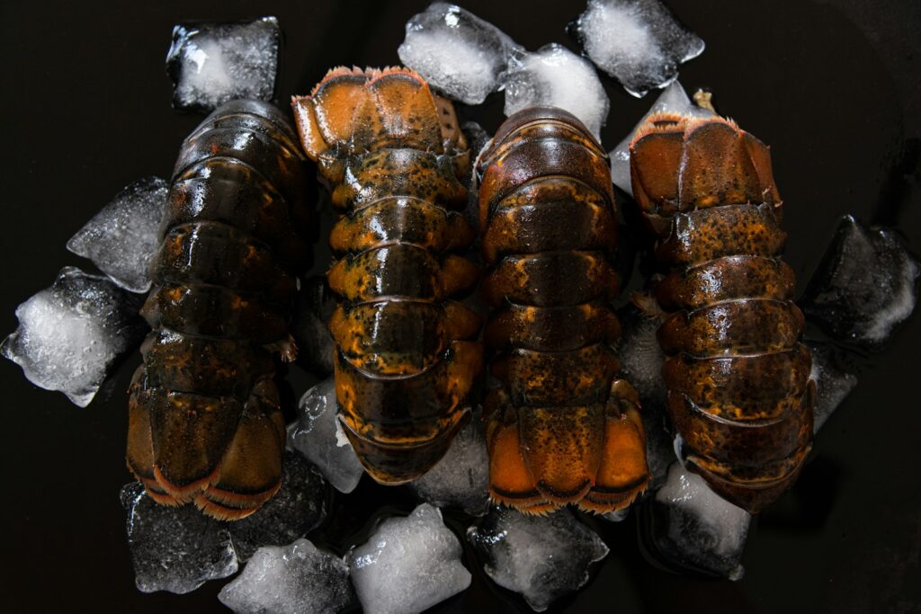 A group of cockroaches sitting on top of ice
