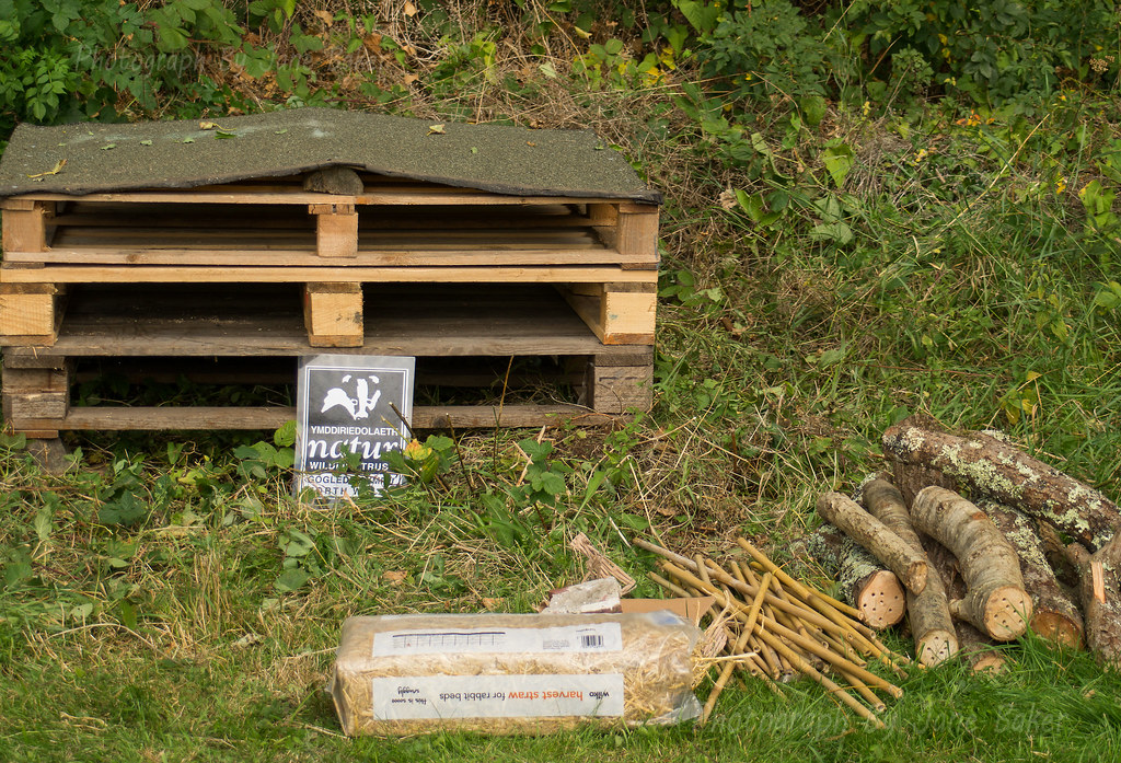 Materials used in constructing a bug hotel.