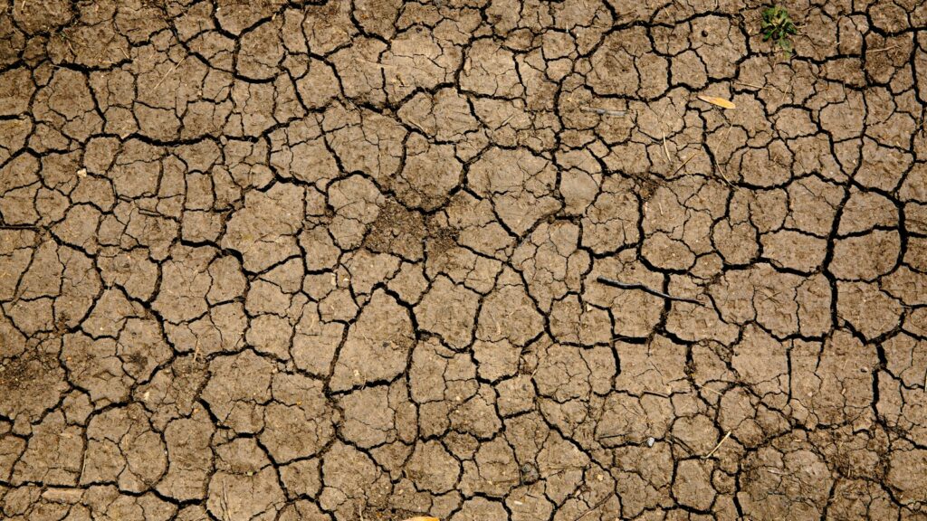 brown and black concrete floor