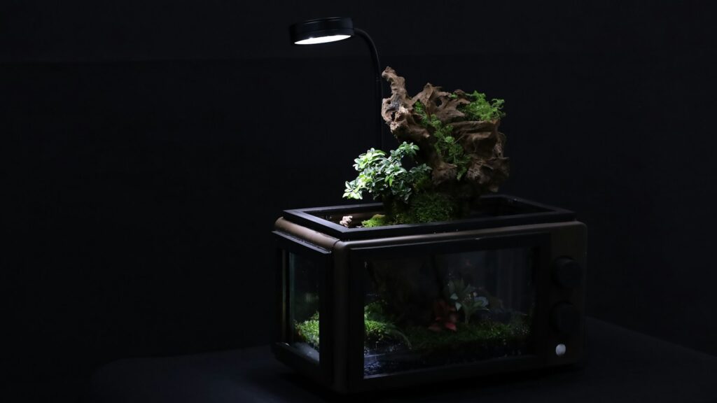 a fish tank with a plant inside of it