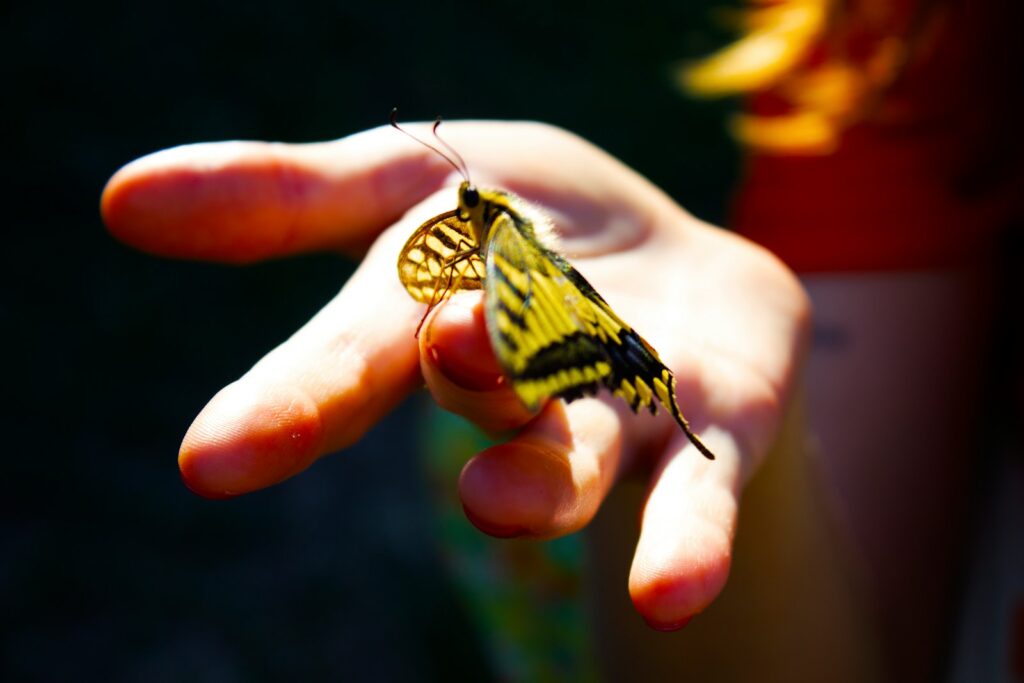 a small yellow butterfly sitting on a persons hand