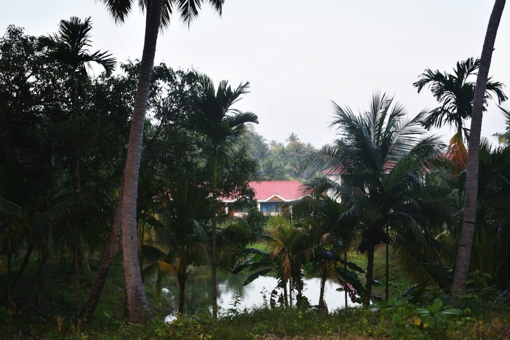 a river surrounded by palm trees and a red roofed house