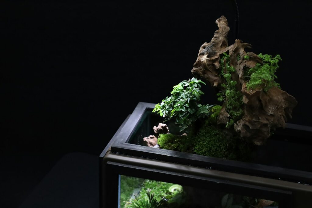A tank for keeping insects. 