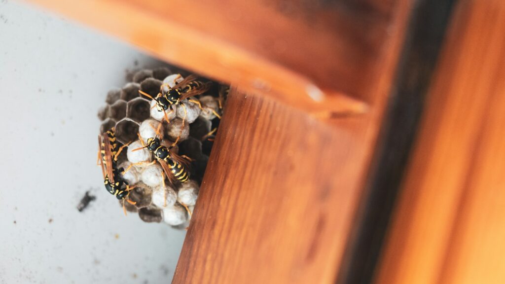 silver and black beads on brown wooden drawer