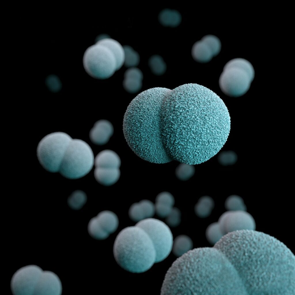 Blue and white bacteria in a micro shot