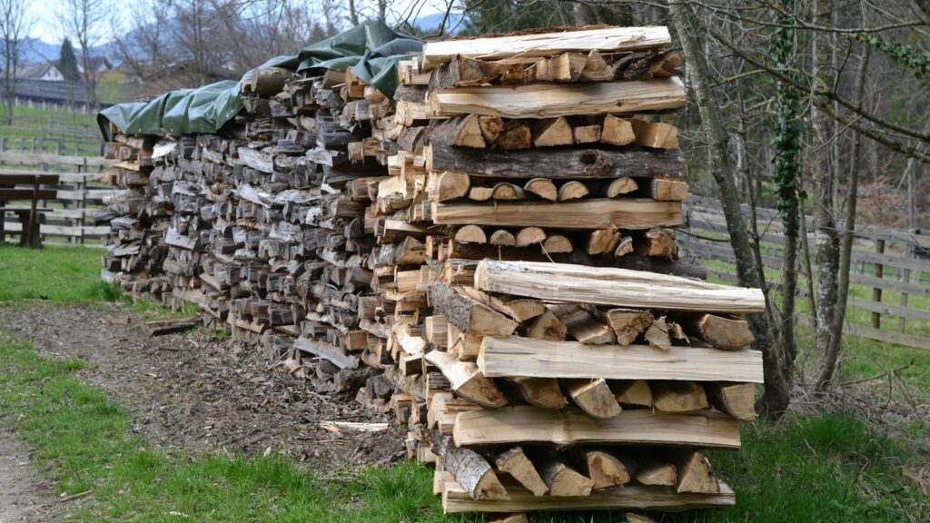 a pile of logs sitting next to a forest