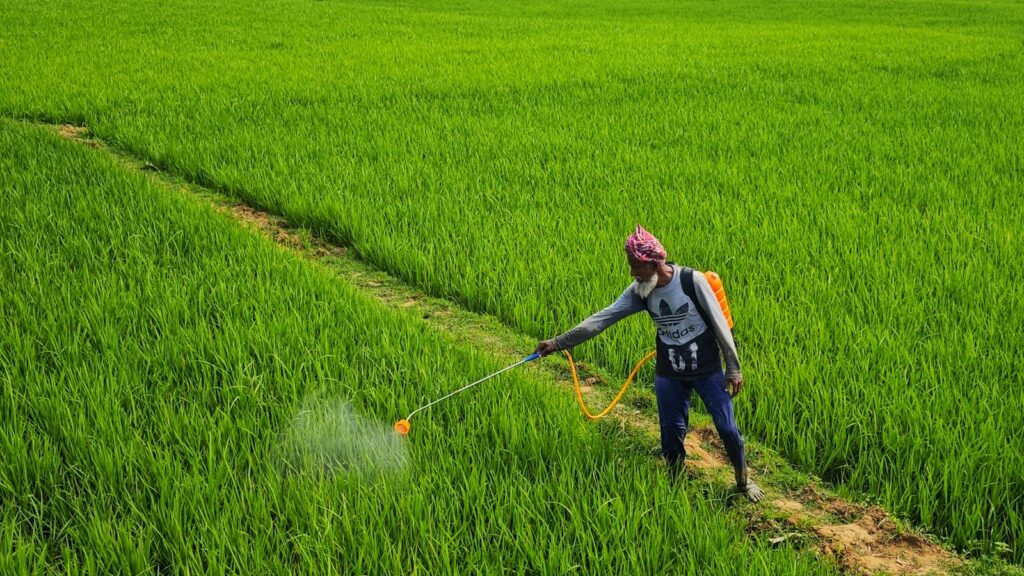 a person spraying pesticide on a green field