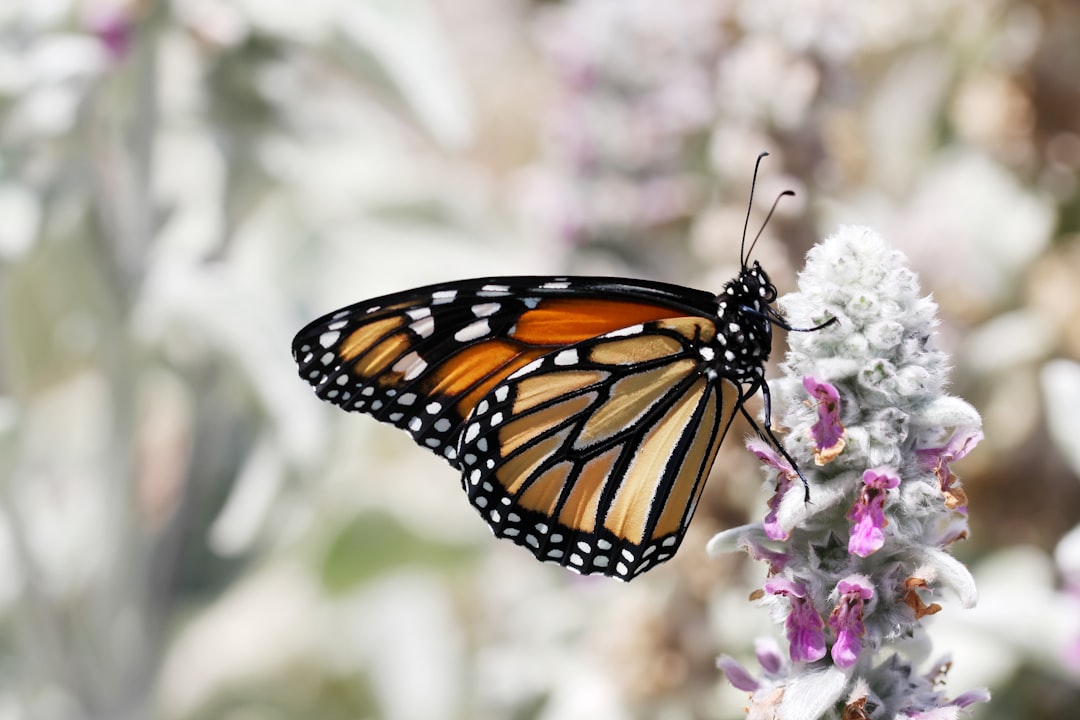 Beyond Survival: The Art of Transformation (image credits: unsplash)