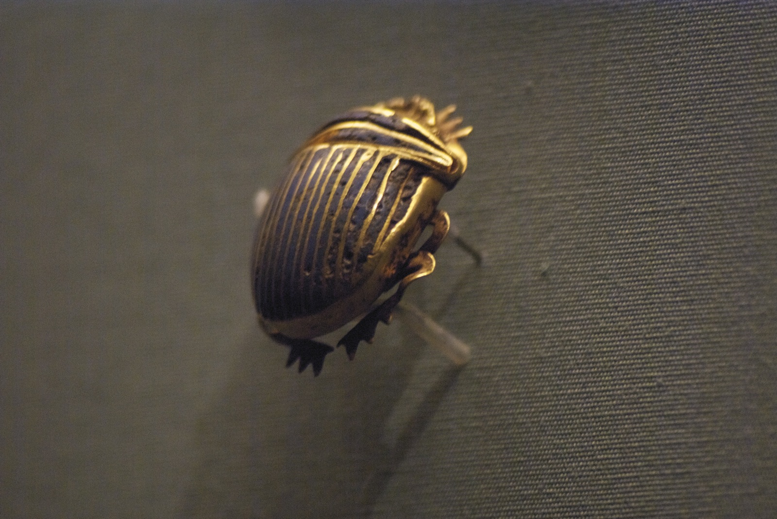 Greek Philosophers and Beetle Wisdom (image credits: wikimedia)