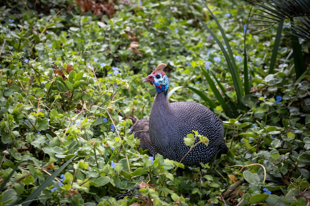 Biological Warfare: Nature Fights Back (image credits: unsplash)