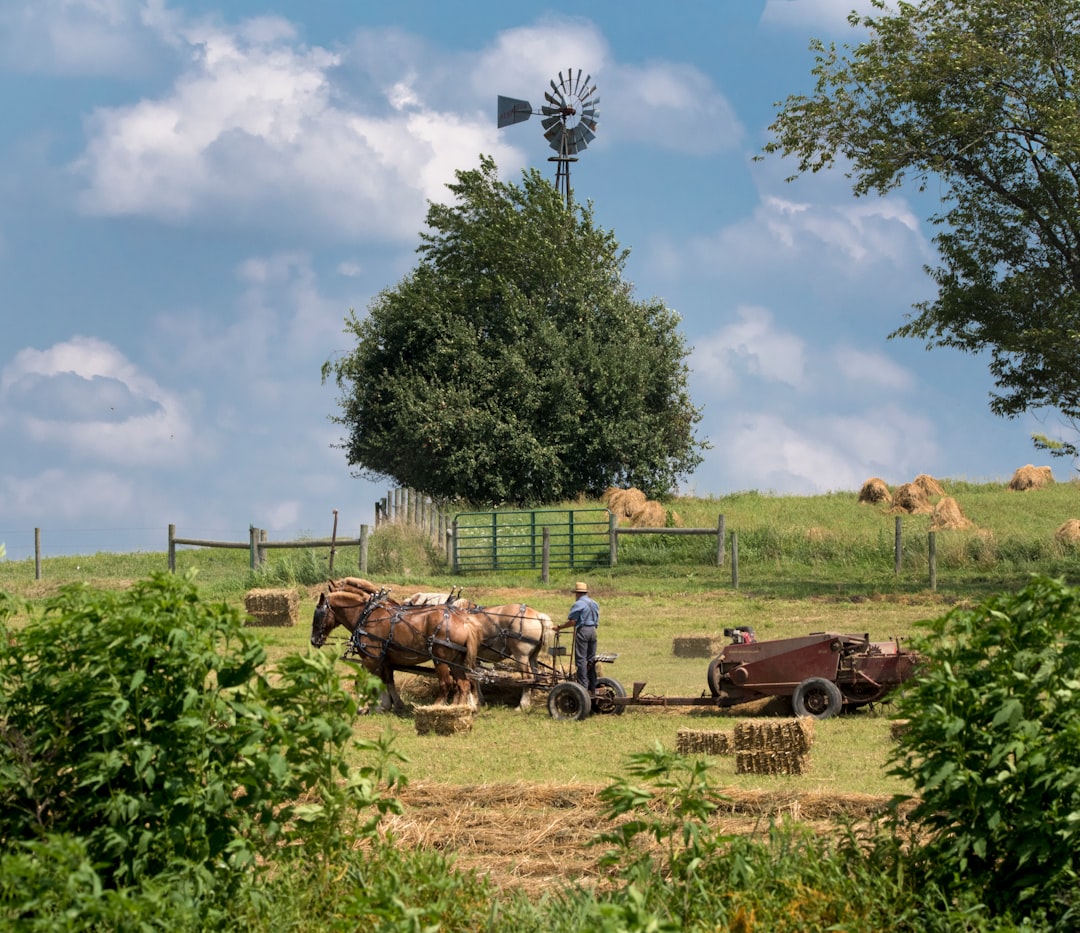 Global Surveillance and Early Warning (image credits: unsplash)