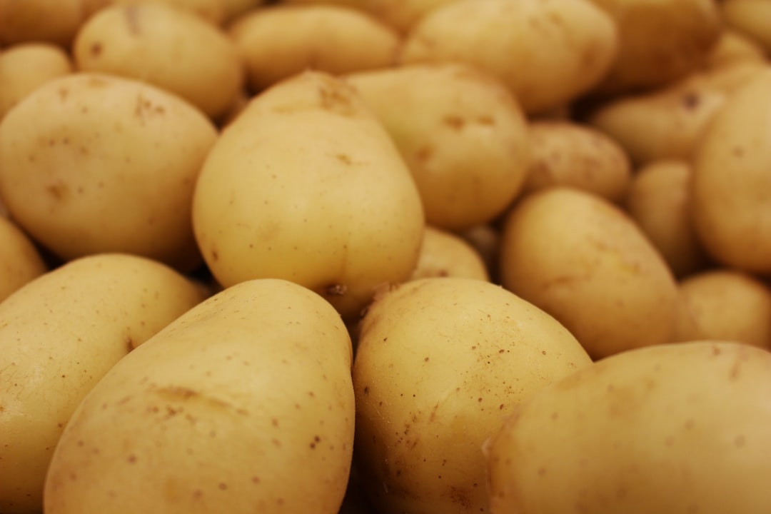The Future of Potato Protection (image credits: unsplash)