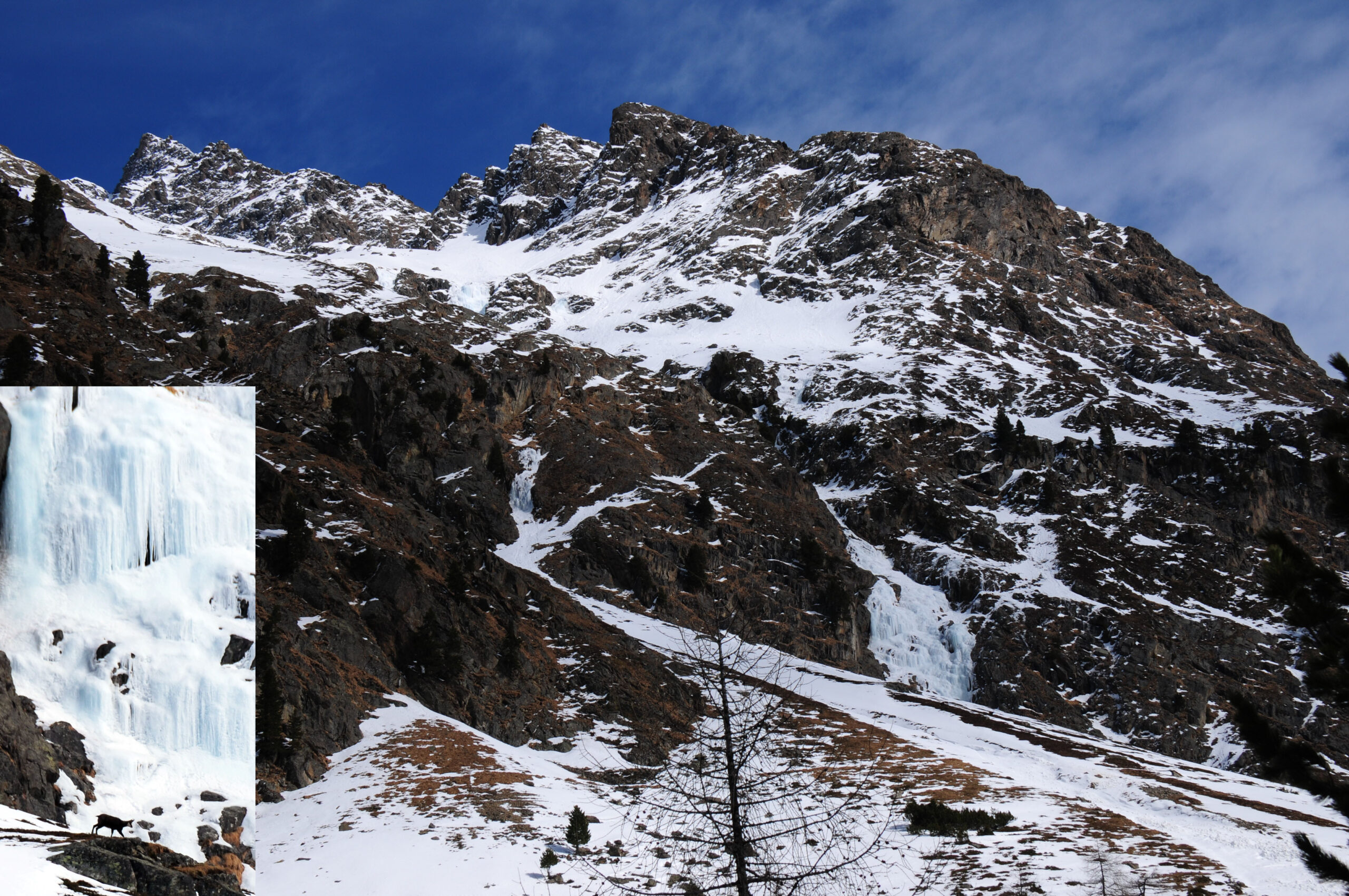 The Sierra Nevada's Secret Population (image credits: wikimedia)