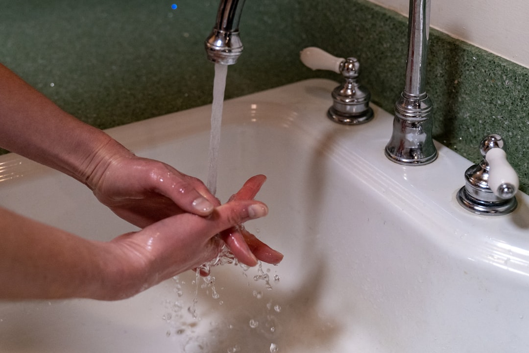 Moisture: The Ultimate Bug Magnet (image credits: unsplash)