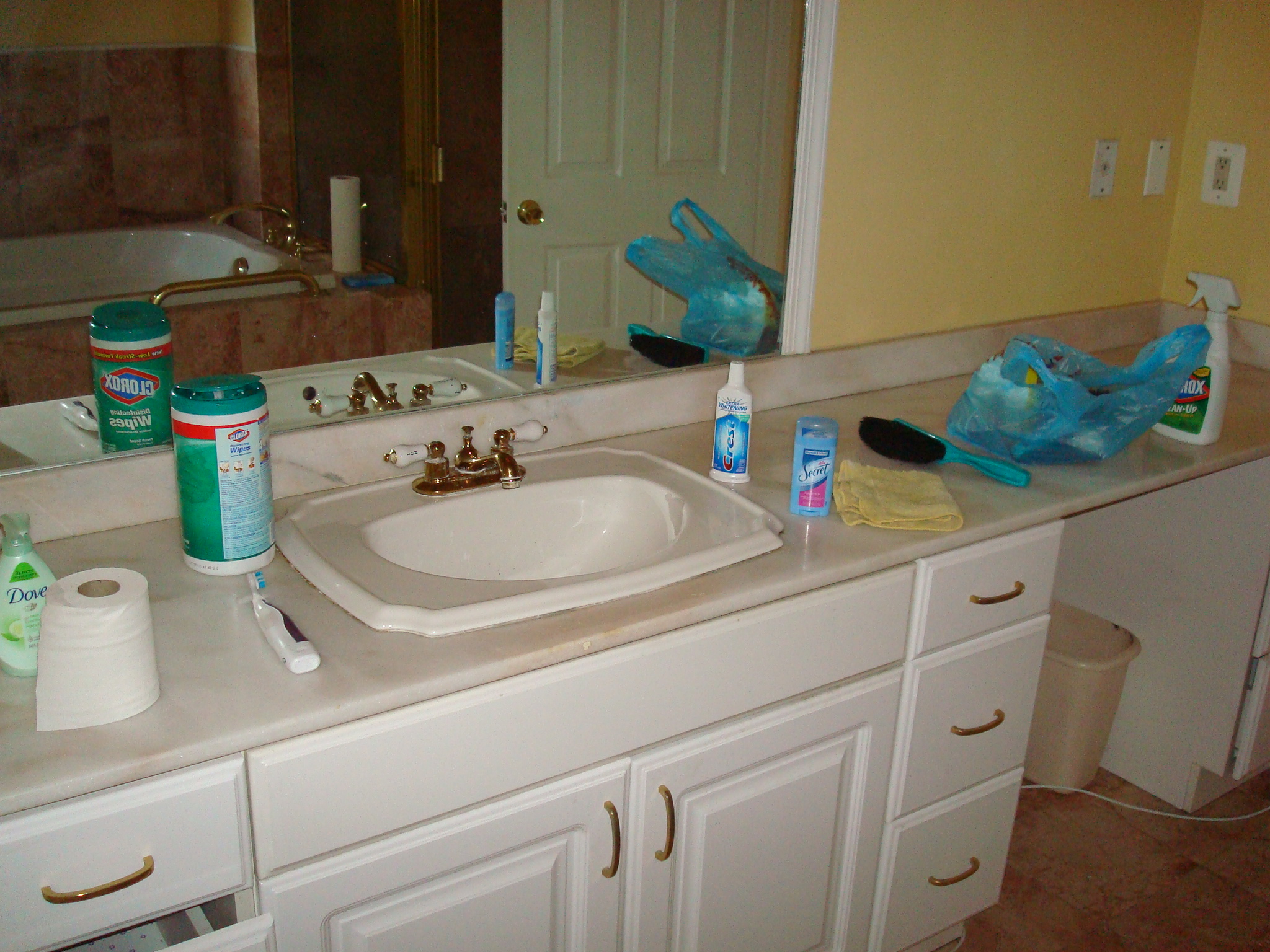Perfect Hiding Spots During Daylight (image credits: wikimedia)