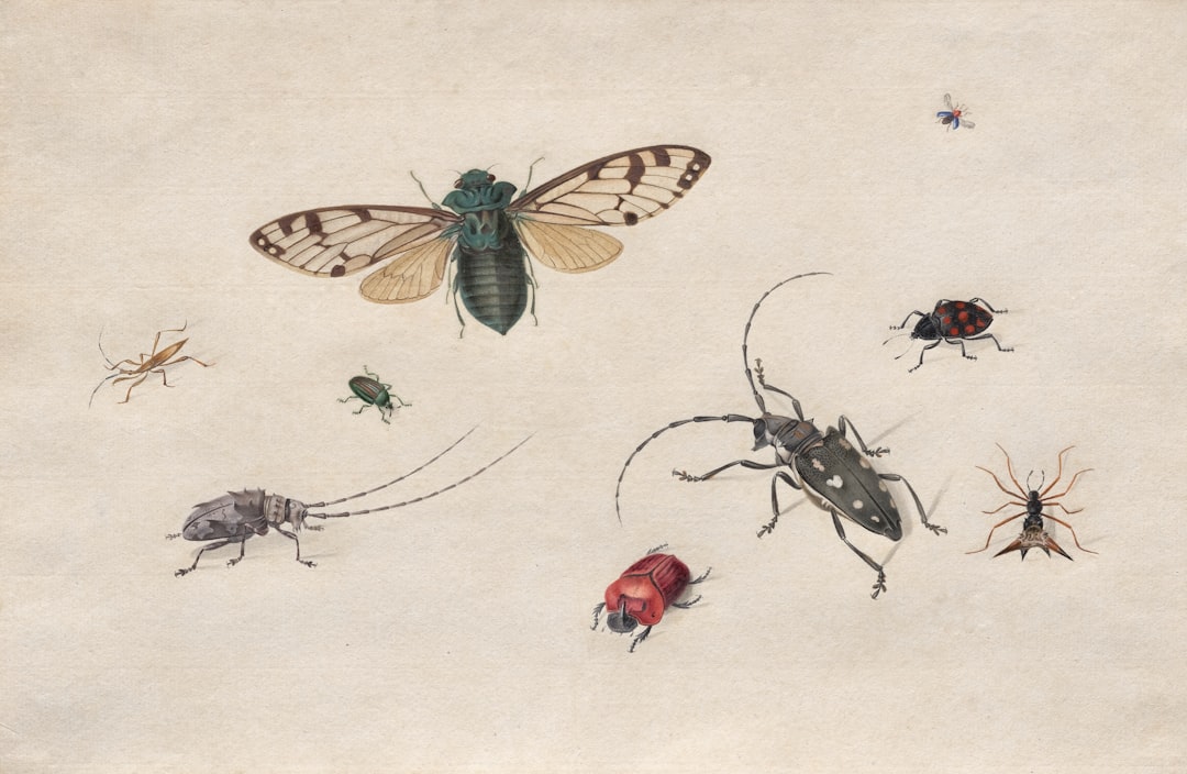 Entomological Evidence From 1912 Prague (image credits: unsplash)