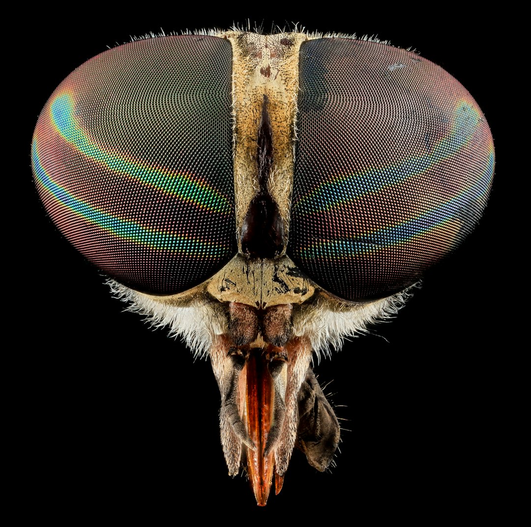 The Cognitive Spectrum: Where Bugs Would Actually Rank (image credits: unsplash)