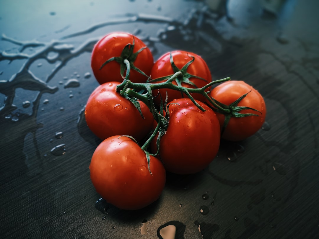 Tomato Products and Their Microscopic Hitchhikers (image credits: unsplash)