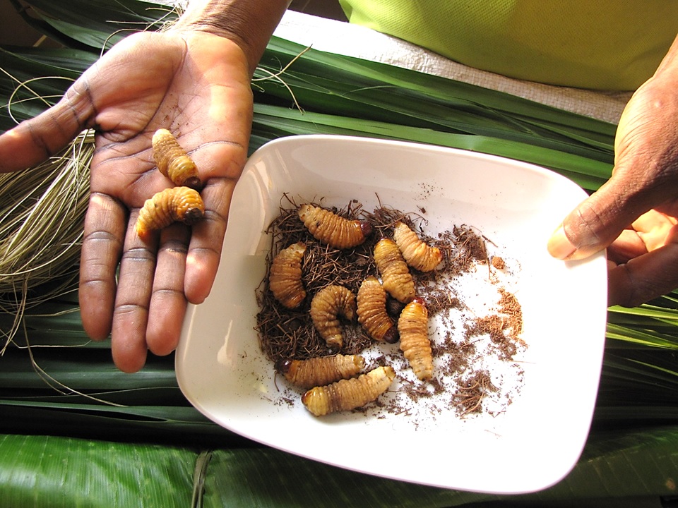 The Nutritional Silver Lining (image credits: wikimedia)