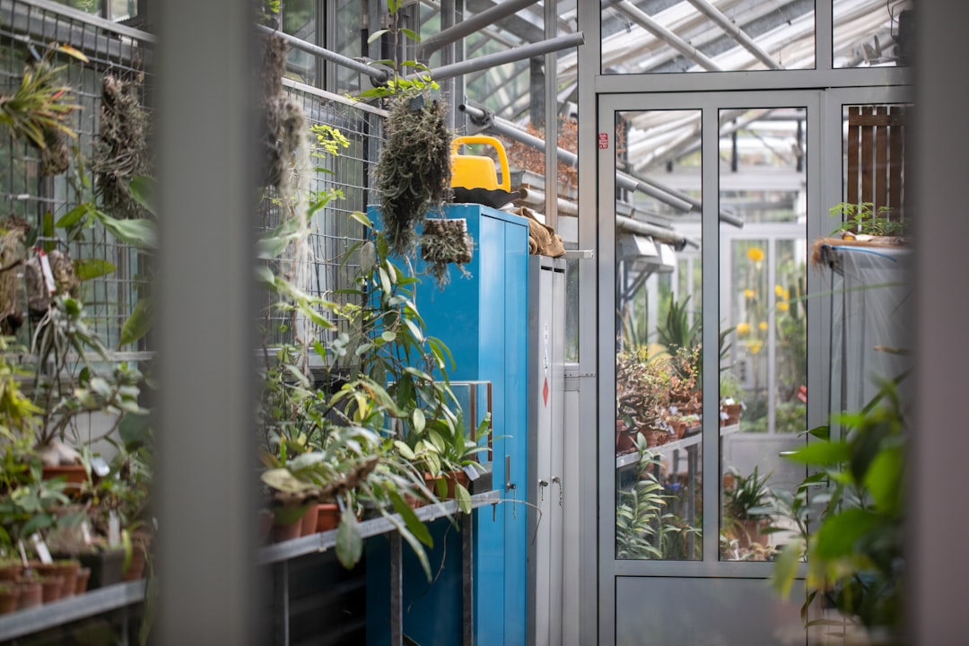 The Technology Revolution in Insect Farming (image credits: unsplash)