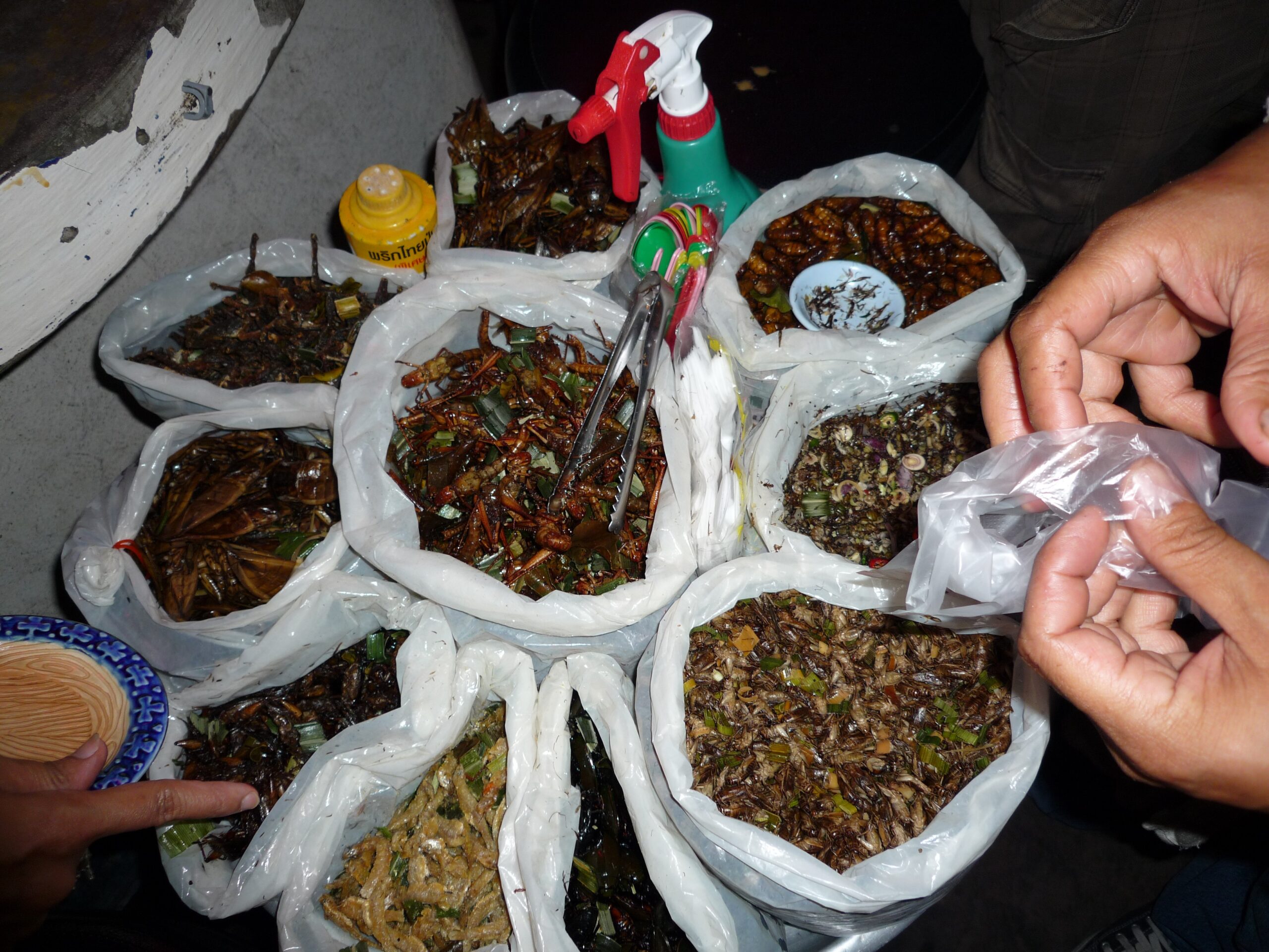 Insects vs Plant-Based Proteins (image credits: wikimedia)
