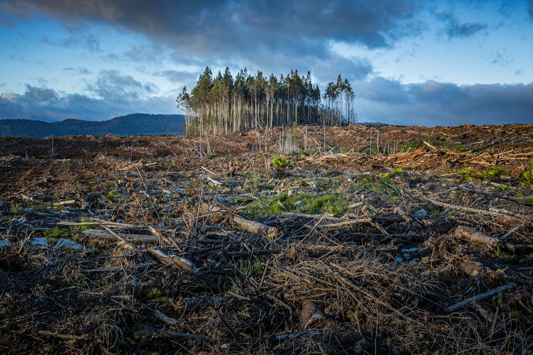 Threats and Conservation Challenges (image credits: unsplash)