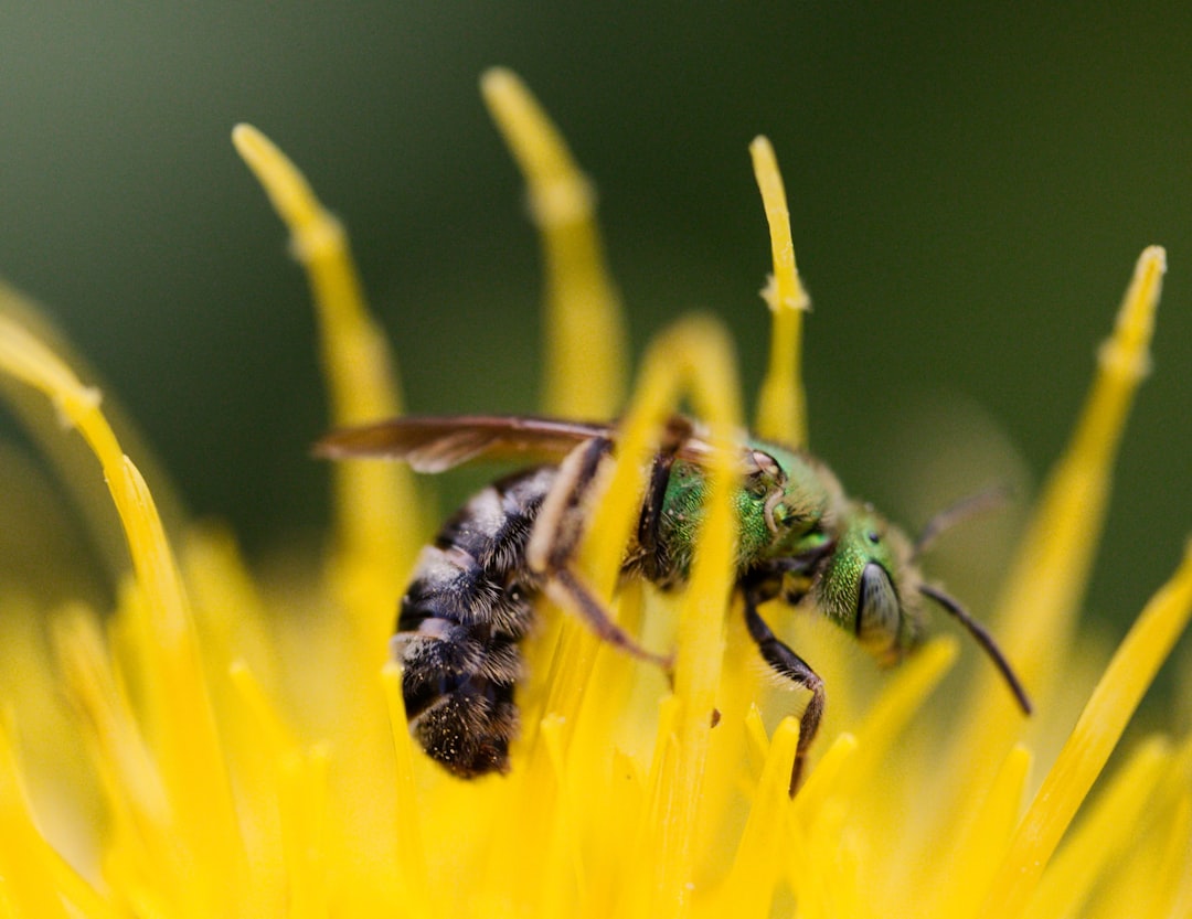 The Bigger Picture: Ecosystem Connections (image credits: unsplash)