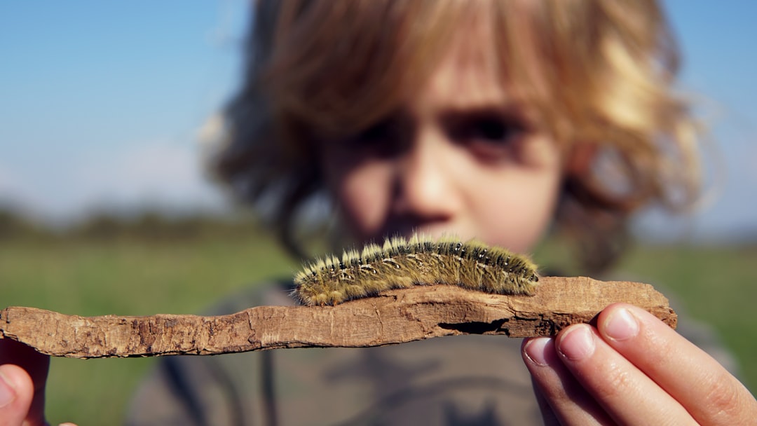 When Childhood Encounters Shape Adult Fears (image credits: unsplash)