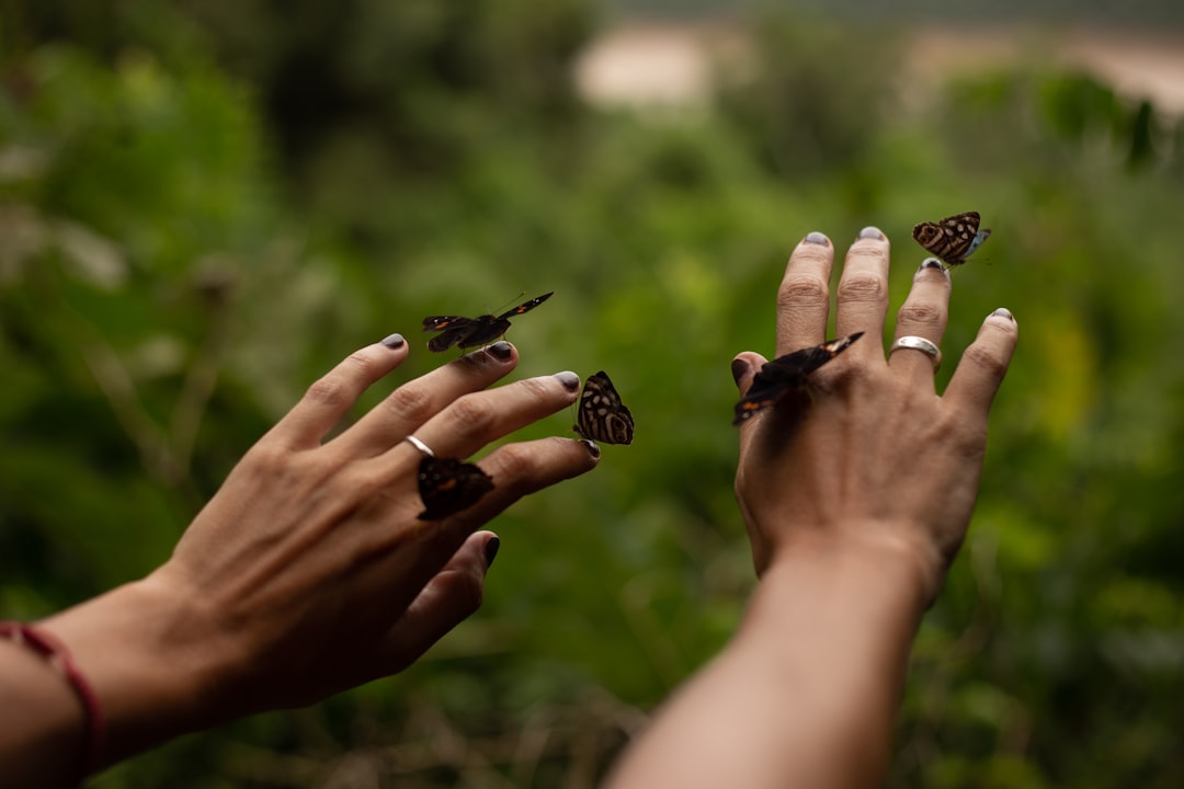Cognitive Restructuring for Lasting Change (image credits: unsplash)