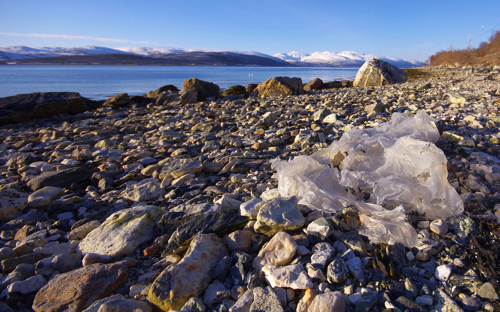 Microplastics and the Miniature Massacre (image credits: flickr)
