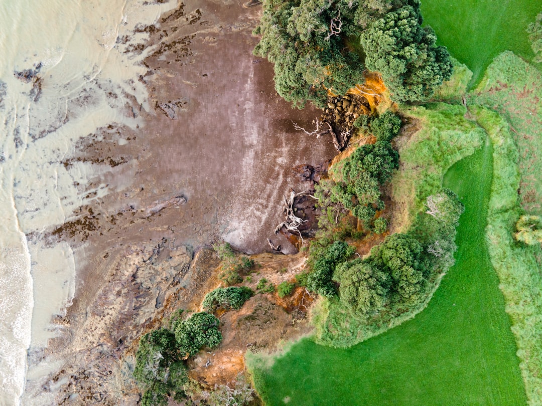 Habitat Fragmentation Through Litter Barriers (image credits: unsplash)