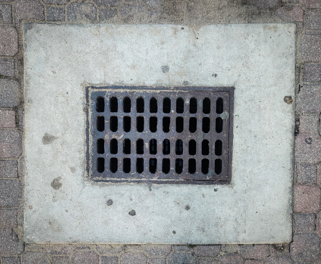 Storm Drains as Insect Death Traps (image credits: unsplash)